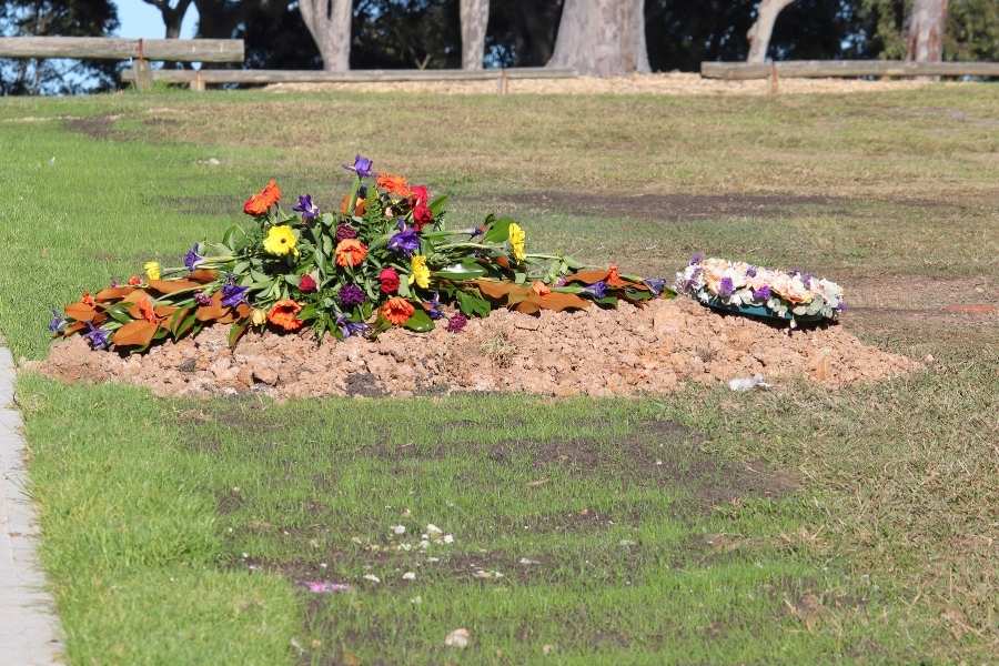 בית קברות לחיות ג'וני